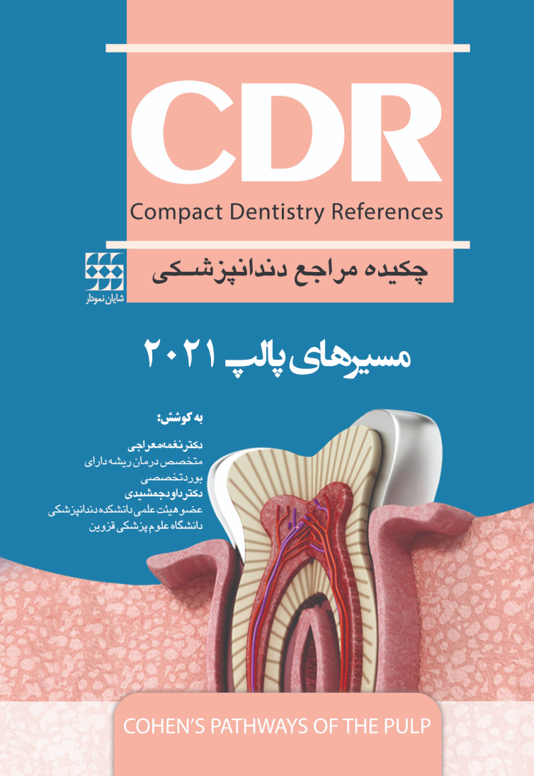 کتاب مسیرهای پالپ تالیف دکتر نغمه معراجی